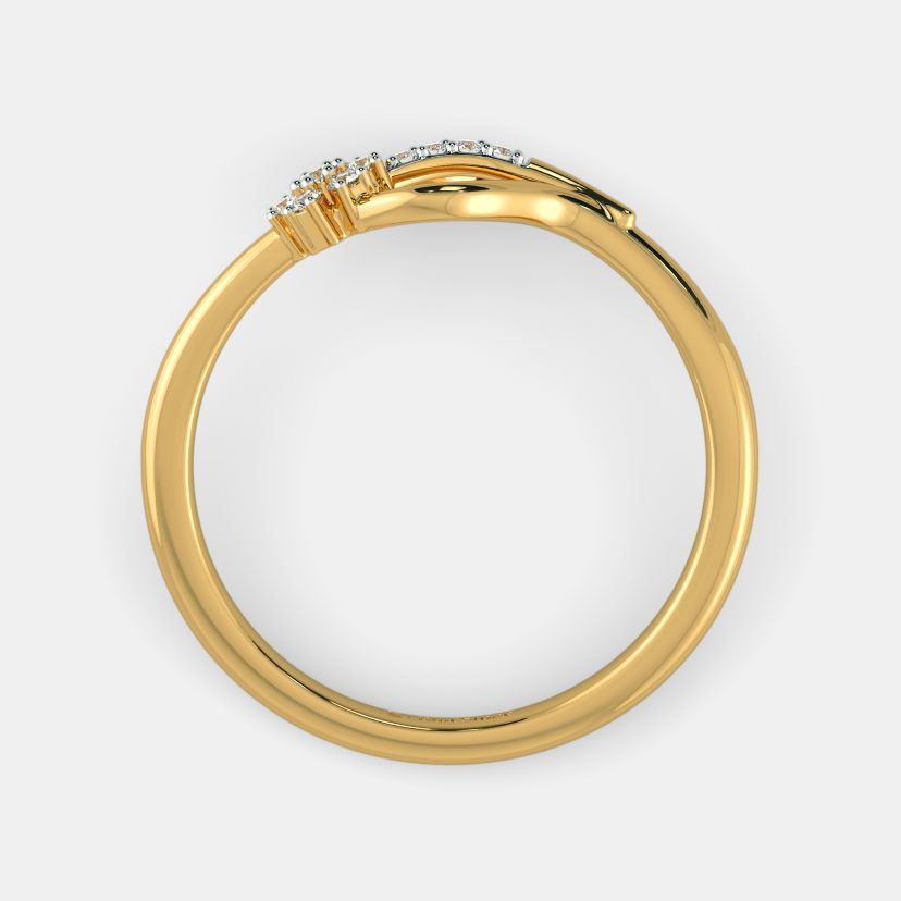 The Chitrita Ring - image 7