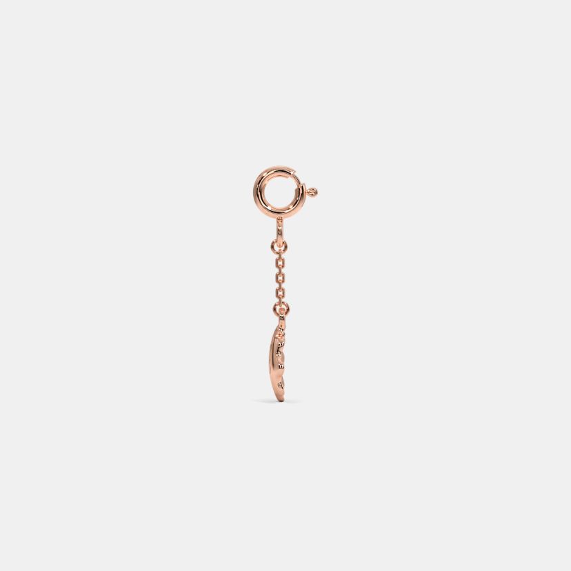 The Alphan Multiwearable Charm - image 8