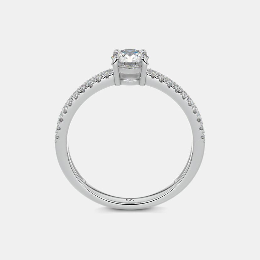 The Stilly Ring - image 8