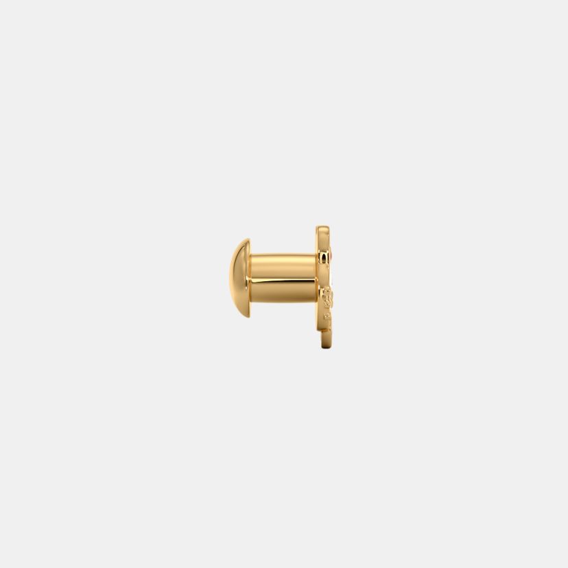 The Spayed Watch Pin - image 8