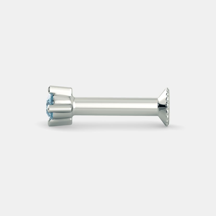 The Periwinkle Nose Screw - image 4