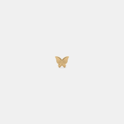 The Laia Multi Pierced Stud Earrings - thumb 7